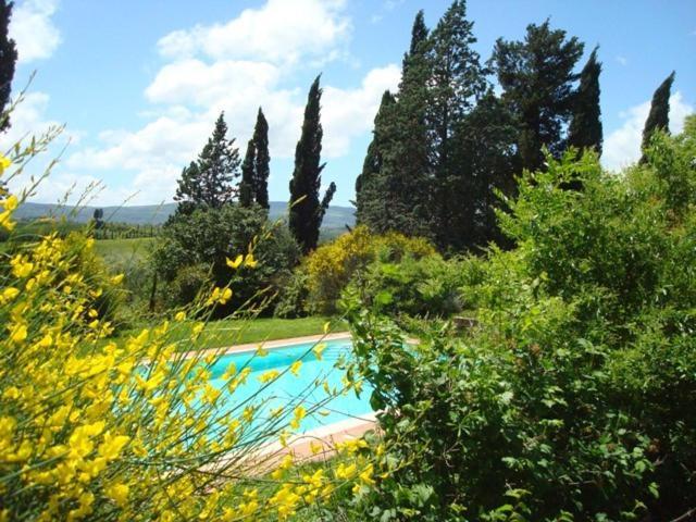 Al Giardino Degli Etruschi Konuk evi Chiusi Oda fotoğraf